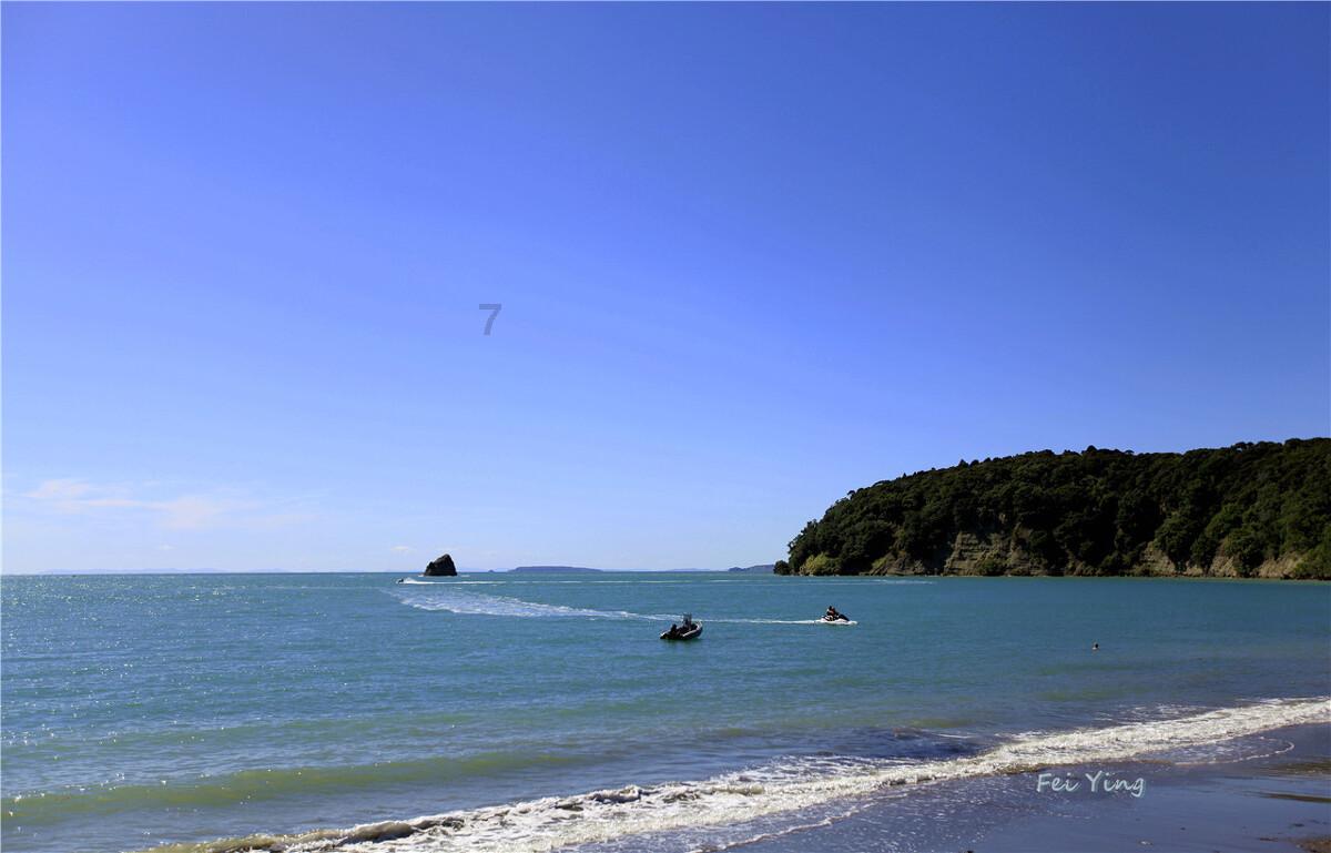 海拔2117米!神奇古树现身黄柏塬国家级自然保护区